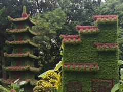 -汇龙潭