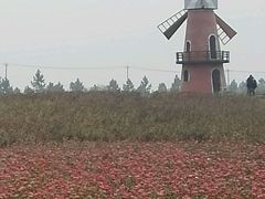 -明日世界电玩城(之心城店)
