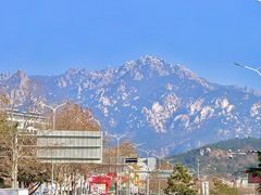 -单家老院·院子里的青岛菜(沙子口店)