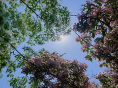 -国家植物园南园