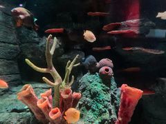 -沈阳海洋探索中心