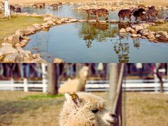 -盈香心动乐园
