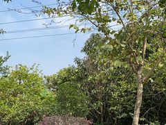 -广州都喜泰丽温泉度假酒店
