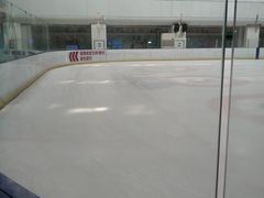 -炫采冰场(红博中央公园商场店)