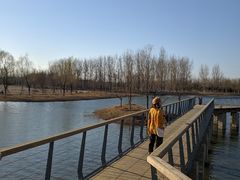 -东郊湿地公园