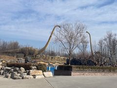 -北京野生动物园