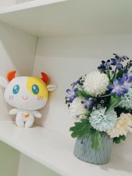 -苗医生专业祛痘·皮肤管理