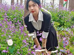 -共青国家森林公园-售票处