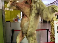 -生命奥秘博物馆