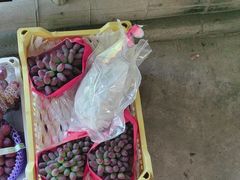 -马陆小张葡萄园农家乐