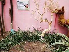 -正佳雨林生态植物园