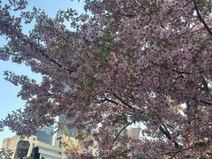 -徐家汇源景区-衡山公园