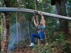 -清迈丛林飞跃 JungleFlight