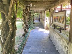 -庐山风景区花径公园