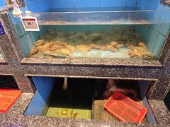 -王庄阿咪海鲜大排档(象园店)