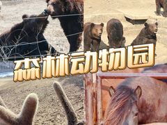 -沈阳森林动物园