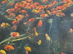 -杭州开元森泊度假乐园