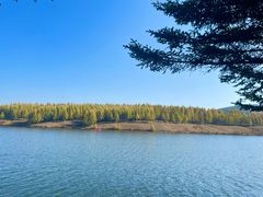 -塞罕坝国家级自然保护区