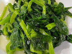 清炒豌豆尖-力力豆花庄(广渠门店)