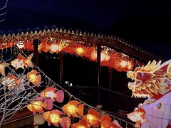 -顺峰山公园