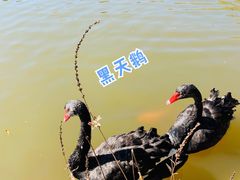 -春晖园度假酒店温泉