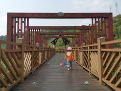 -神光山国家森林公园