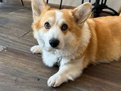 -肥朵食堂(带梦胡同店)