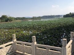 -东湖落雁景区