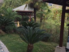 -咸宁万豪温泉谷度假区