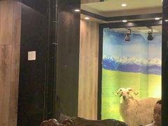 -清真·益鑫羊肉手抓馆(花园北街店)