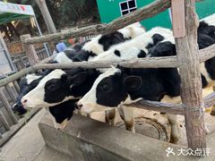 -昆明动物园