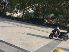-中南南通体育会展中心
