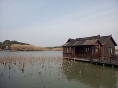 -香雪海