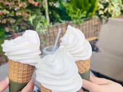 海盐水牛乳冰淇淋-SAANCI山池咖啡(海上世界文化艺术中心店)