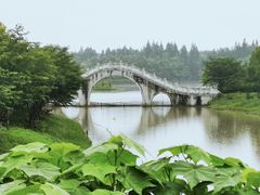 -上海海湾国家森林公园