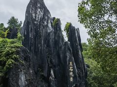 -玉石林风景区