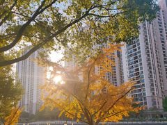 -苏州河梦清园环保主题公园