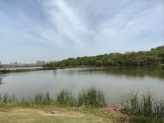 -盘龙城国家考古遗址公园