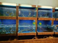 水产区-江海渔港(姚港路店)