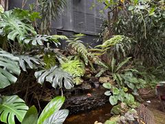 -Fern Forest Cafe