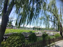 -莲花池公园