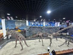 -吉林省自然博物馆