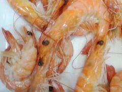 -宾朋海鲜特色美食餐厅·纯手工鲅鱼水饺(兴海路店)