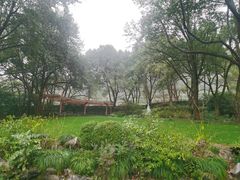 -中国茶叶博物馆(双峰馆区)