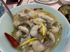 藤椒黑鱼片-席家花园(巨鹿花园店)