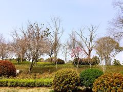 -云龙湖旅游景区