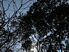 -莲花山公园