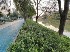 -怡海公园(桂城街道)