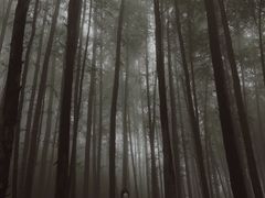 -山王坪喀斯特国家生态公园