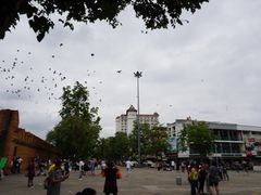 -宁曼路